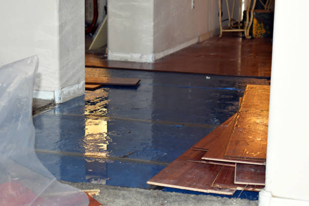 Professional Sewage Cleanup technician working in Lesage, WV